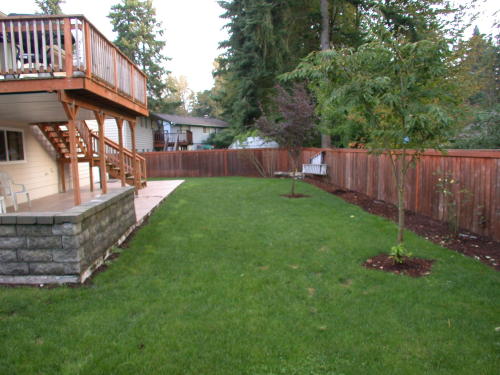 Lower level fireplace